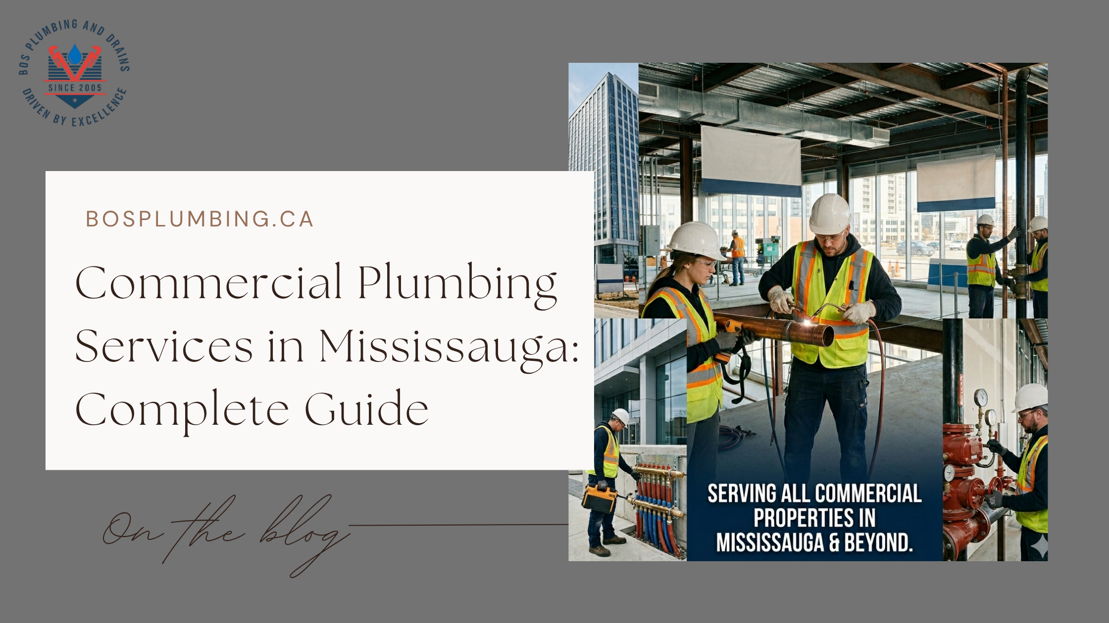 Commercial Plumbing Services in Mississauga Complete Guide