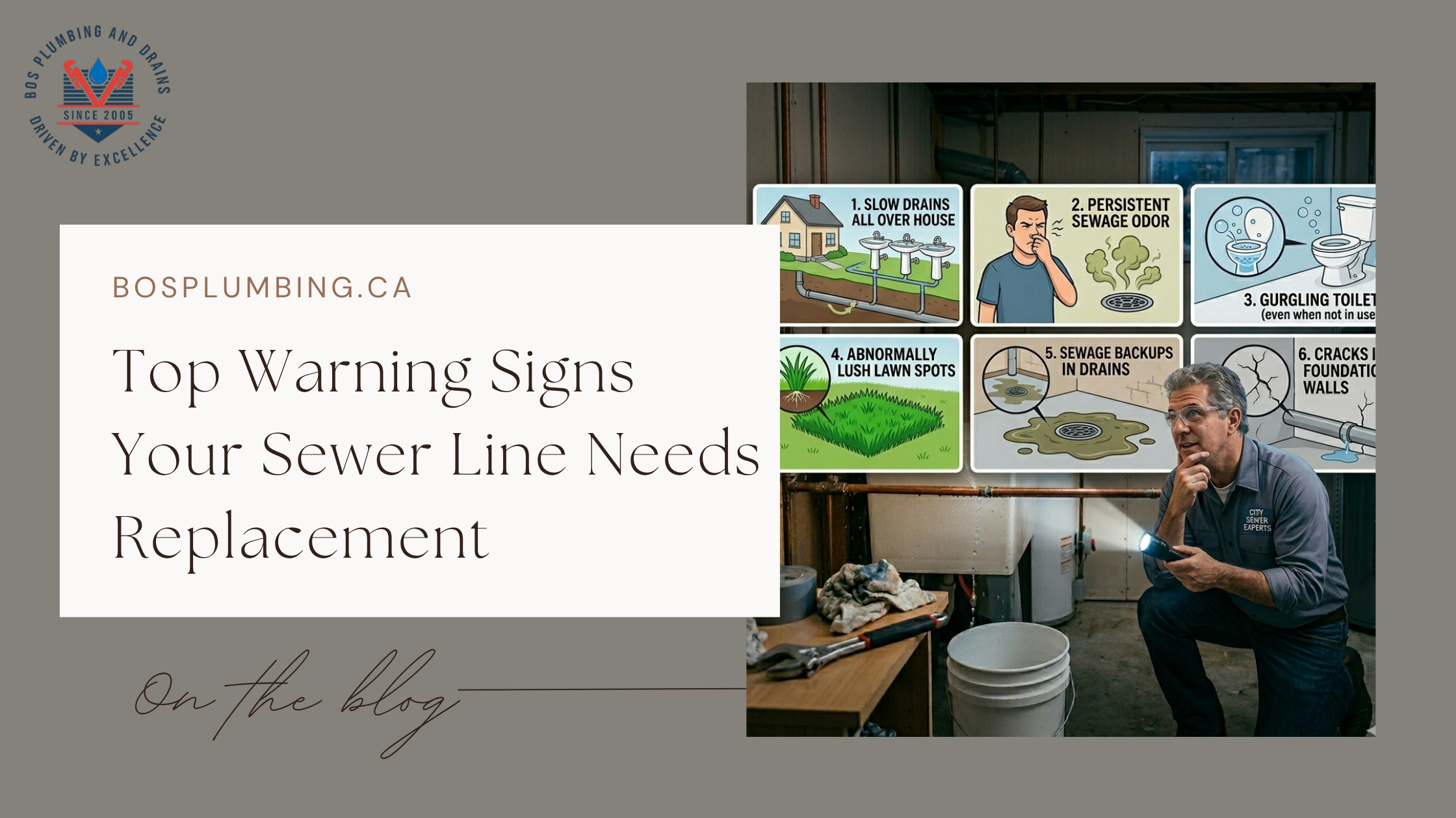 Top Warning Signs Your Sewer Line Needs Replacement
